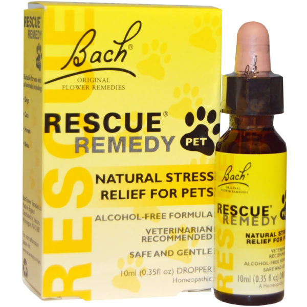 Bach Rescue Remedy Pastiles Blackcurrent